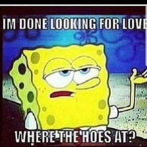 Meet your Posher, Josh